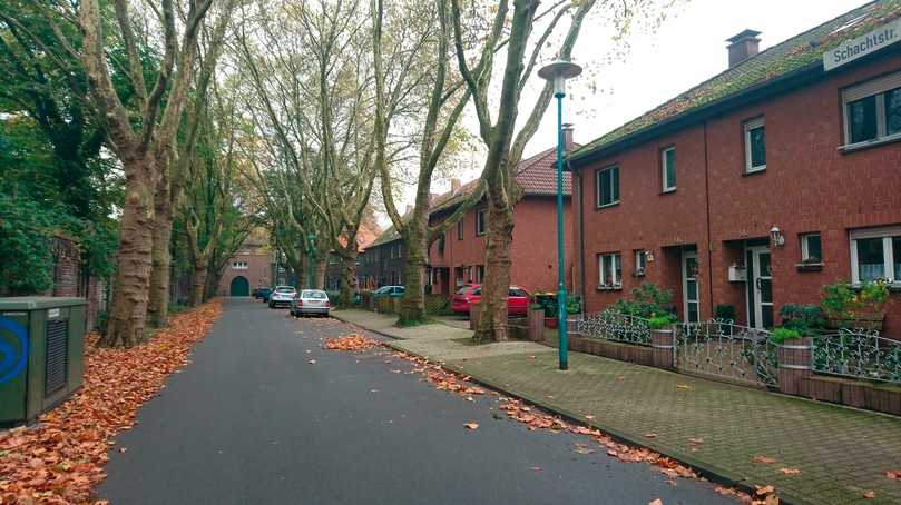 Abb. 3: Allee in einer ehemaligen Zechensiedlung im Duisburger Stadtteil Wehofen. | Foto: Stadt Duisburg