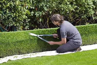 Immer weniger Auszubildende im Gartenbau