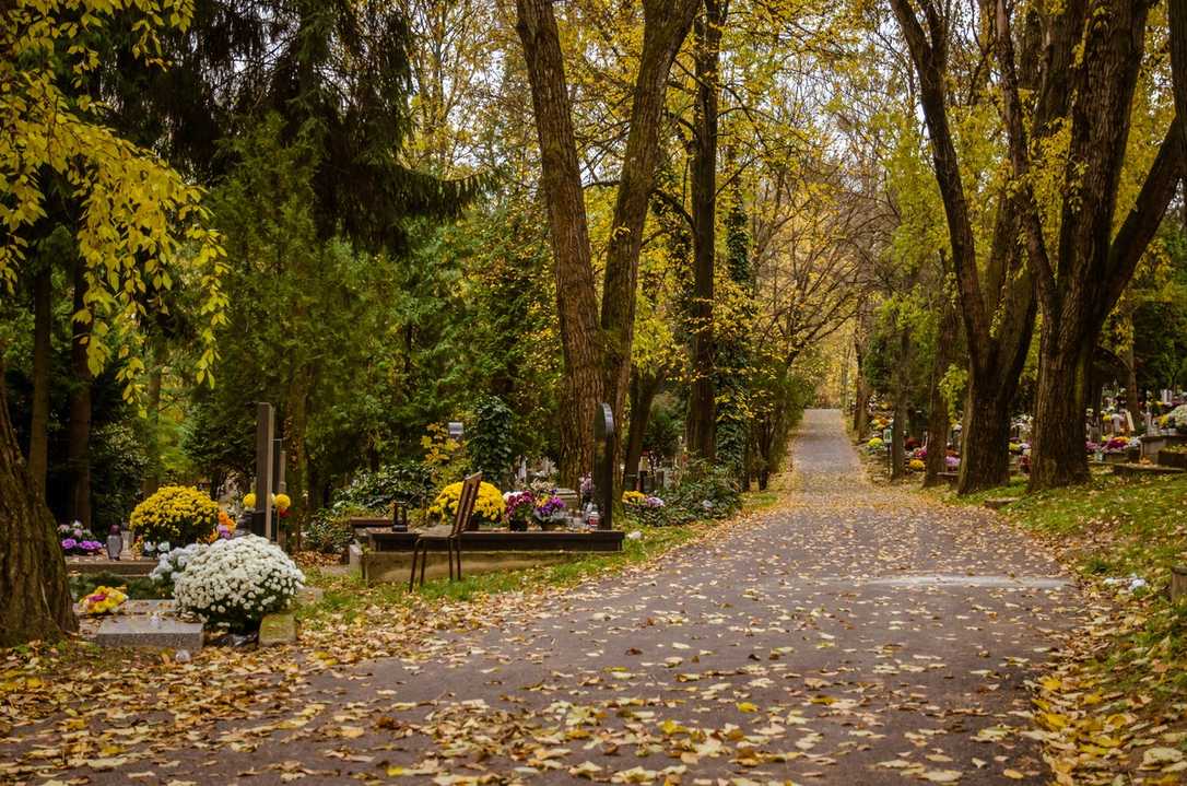 Friedhof der Zukunft: Grüne Oase in der Stadt