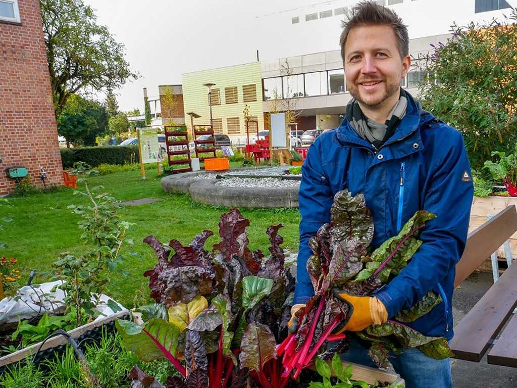 Schutz vor Schadstoffen und Vandalismus beim Urban Gardening