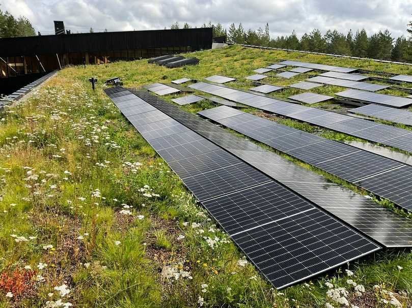 Die regionaltypische Biodiversität wird ebenfalls durch die Kultivierung von 20.000 Stecklingen erzielt, die man eigens in der Umgebung sammelte. | Foto: MATTAK AS