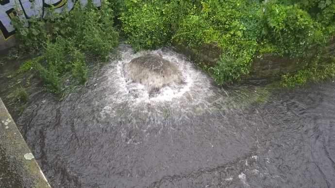 Wasser quillt aus einer Schachtabdeckung. Die Ursache ist üblicherweise Rückstau aus dem Kanal als Folge eines Starkregens. Bei unterirdischen Regenspeichern unterhalb der Rückstauebene, die nicht dagegen gesichert sind, droht die Kontamination des Wasservorrats. | Foto: Mall