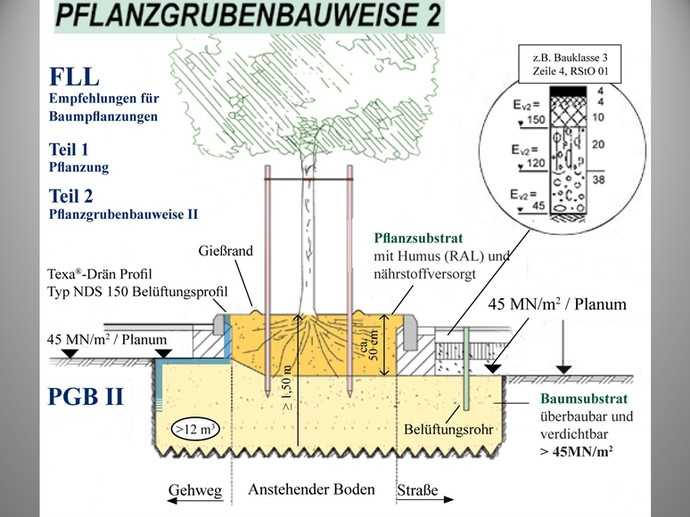 Grafik der Pflanzgrubenbauweise 2 gemäß Vorgaben der Forschungsgesellschaft Landschaftsentwicklung Landschaftsbau (FLL). | Foto: FLL