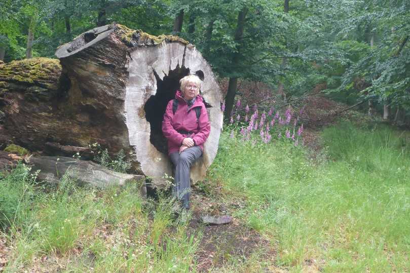 Anke Bosch: "Eine Folge des Trocken- und Hitzestresses ist die Zunahme von Pathogene und die Zunahme von Kalamitäten." | Foto: Anke Bosch