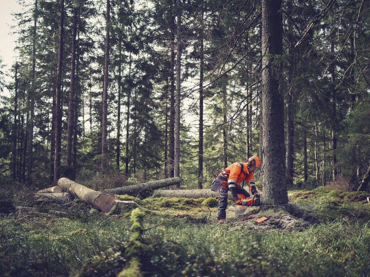 Husqvarna hat die Kettensäge 564 X „um den Motor herum entwickelt“, was zu einem schlankeren Design führt. Zusätzlich wurde der Kolben aus Magnesium gefertigt, was weiteres Gewicht einspart. | Foto: Husqvarna