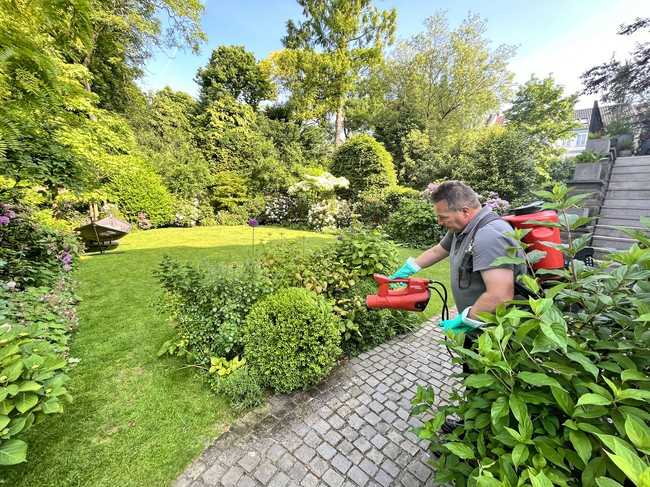 Die feinen Einstellungsoptionen bieten dem Gartendoktor jeweils die richtige Power. | Foto: Birchmeier