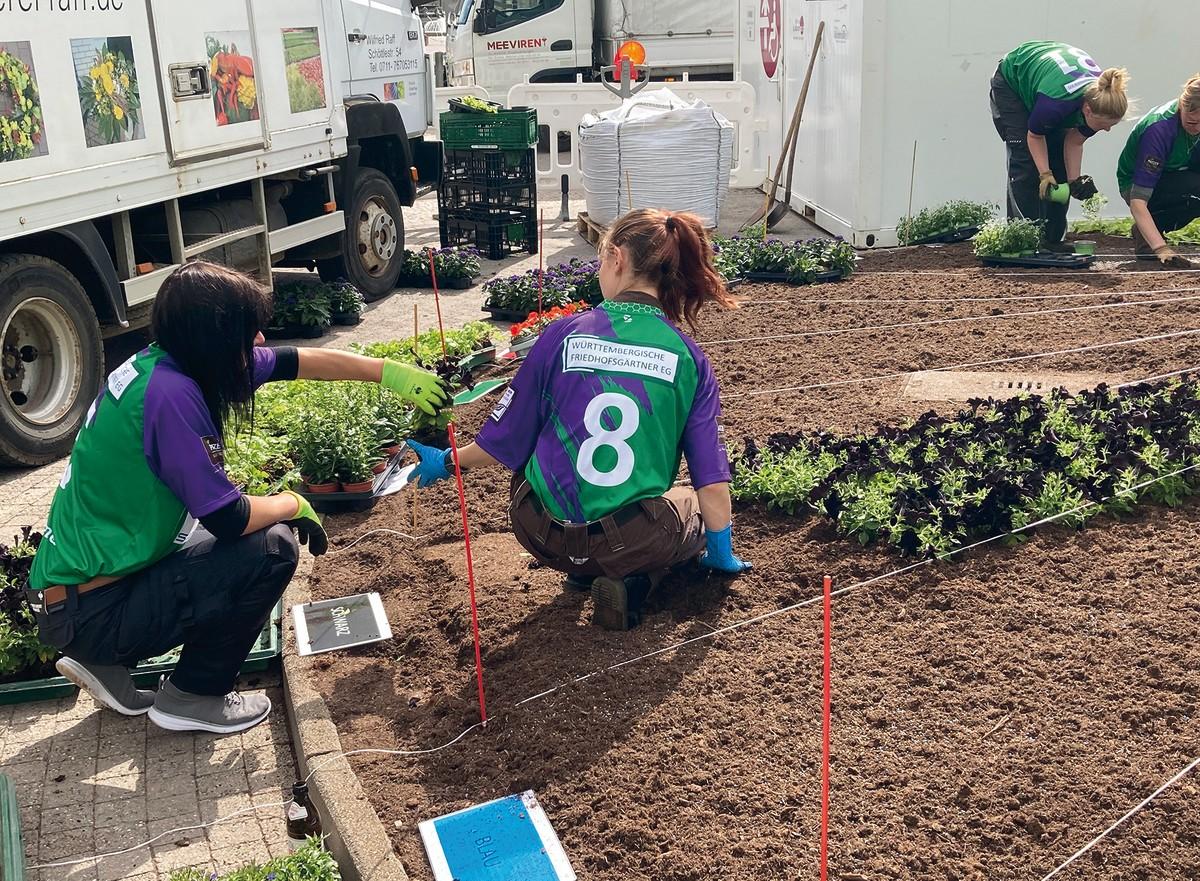 Fußball und Insektenschutz werden verknüpft und so wird das Thema Friedhofsgärtnerei lebendig. | Foto: PATZER ERDEN GmbH