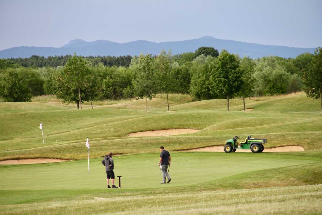 Mit "GolfBiodivers" zu mehr Artenvielfalt auf Golfplätzen