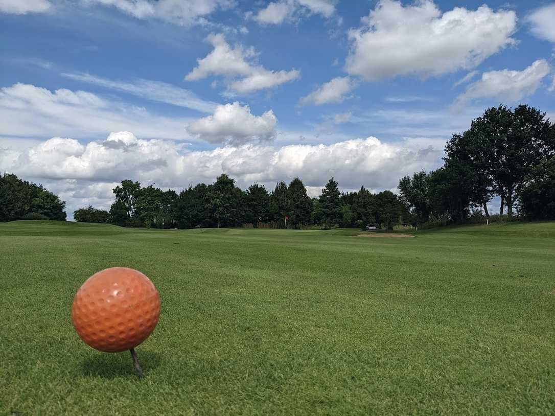 Bäume auf Golfplätzen - wie wird eine Gefahren reduzierte Nutzung möglich?