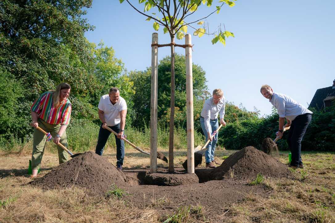 Einheitsbuddeln: Bäume pflanzen und Klima schützen