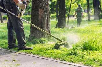 So steht es um den Garten- und Landschaftsbau