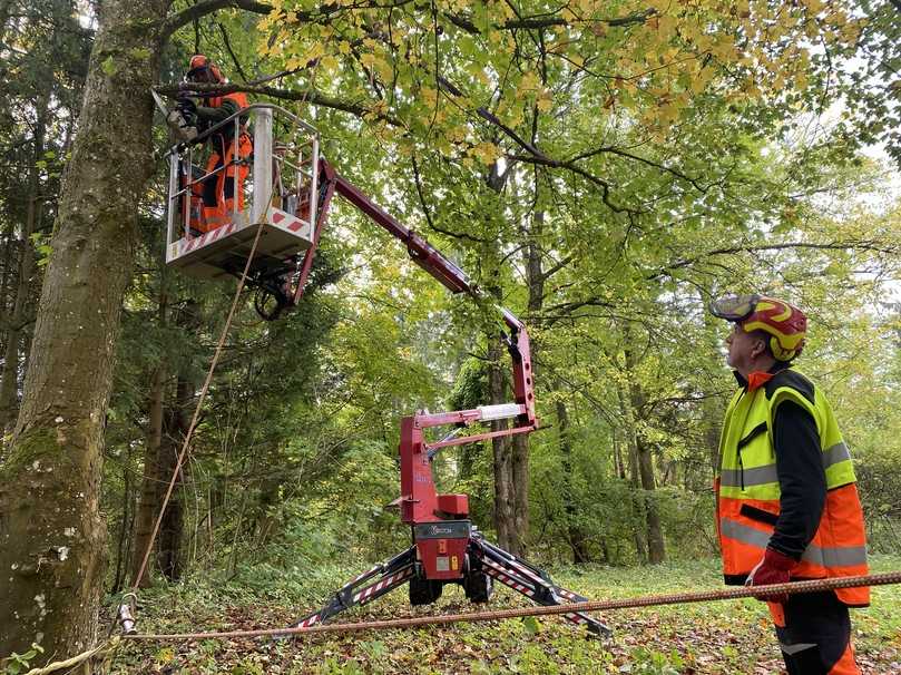 Im praktischen Ausbildungsteil wird die Schnitttechnik der Teilnehmenden von AST Trainer Rupert Martin überwacht. | Foto: AST Arbeitssicherheit