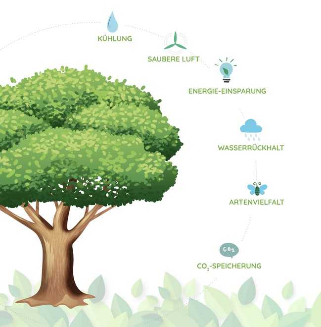 Bäume haben viele positive Umweltfunktionen: im Projekt LIFE URBANGREEN wurden einige dieser Funktionen genau studiert und deren Messung in die Plattform GreenSpaces integriert. | Foto: R3GIS 