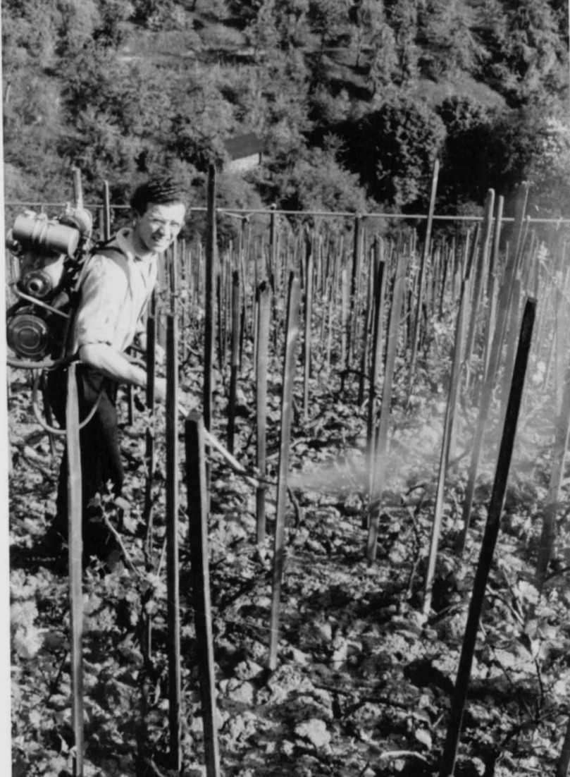 Zum Jubiläum lohnt ein Blick in die Firmengeschichte: Einsatz mit Sprühgerät im Jahr 1951. | Foto: Solo