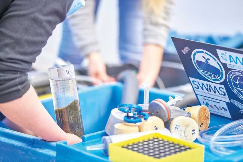 Analyse und Massenbewertung des Bestands am Grund: Was ist organisch und was anorganisch? | Foto: Colditz Analyse und Massenbewertung des Bestands am Grund: Was ist organisch und was anorganisch? | Foto: Colditz