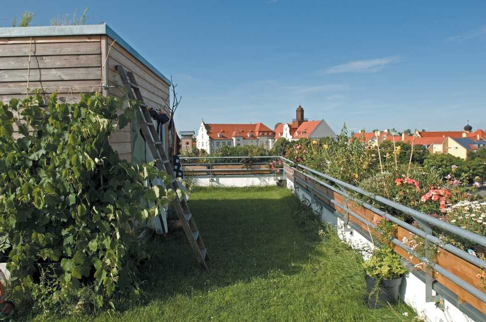 Grüne Dachgärten in der Großstadt mit Schwab-Rollrasen
