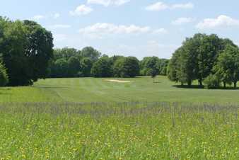 Ökologische Aufwertung von extensiven Rasenflächen auf Golfplätzen