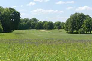 Ökologische Aufwertung von extensiven Rasenflächen auf Golfplätzen