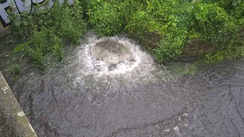 Wasser quillt aus einer Schachtabdeckung. Die Ursache ist üblicherweise Rückstau aus dem Kanal als Folge eines Starkregens. Bei unterirdischen Regenspeichern unterhalb der Rückstauebene, die nicht dagegen gesichert sind, droht die Kontamination des Wasservorrats. | Foto: Mall