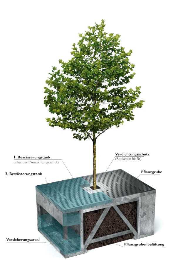 Mini-Regenrückhaltbecken für durstige Bäume