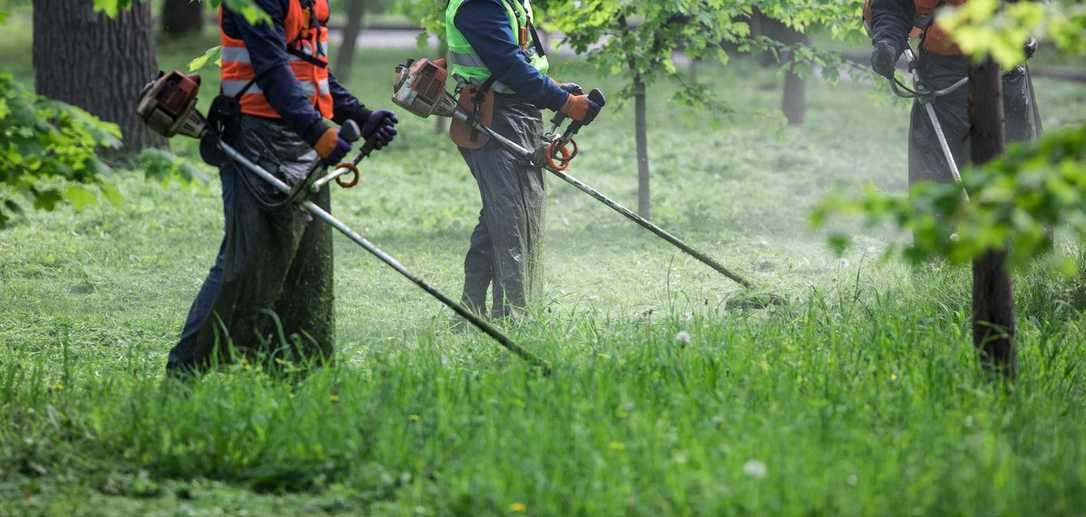 Freischneider Vergleich 2024: Die besten Motorsensen für Profis & Heimwerker