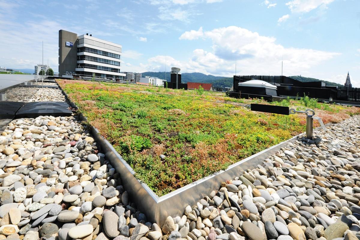 Nach Abschluss der Arbeiten zieht die Volksbank Freiburg ein positives Fazit und verweist dabei vor allem auf die gute Zusammenarbeit aller am Projekt Beteiligten. | Foto: Richard Brink GmbH & Co. KG