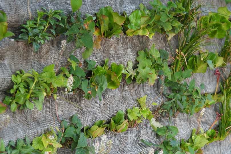 Um den Insektenbestand in der Grünfassade kümmern sich diverse Vogelarten aus der Region. | Foto: Drees & Sommer SE / Jürgen Pollak