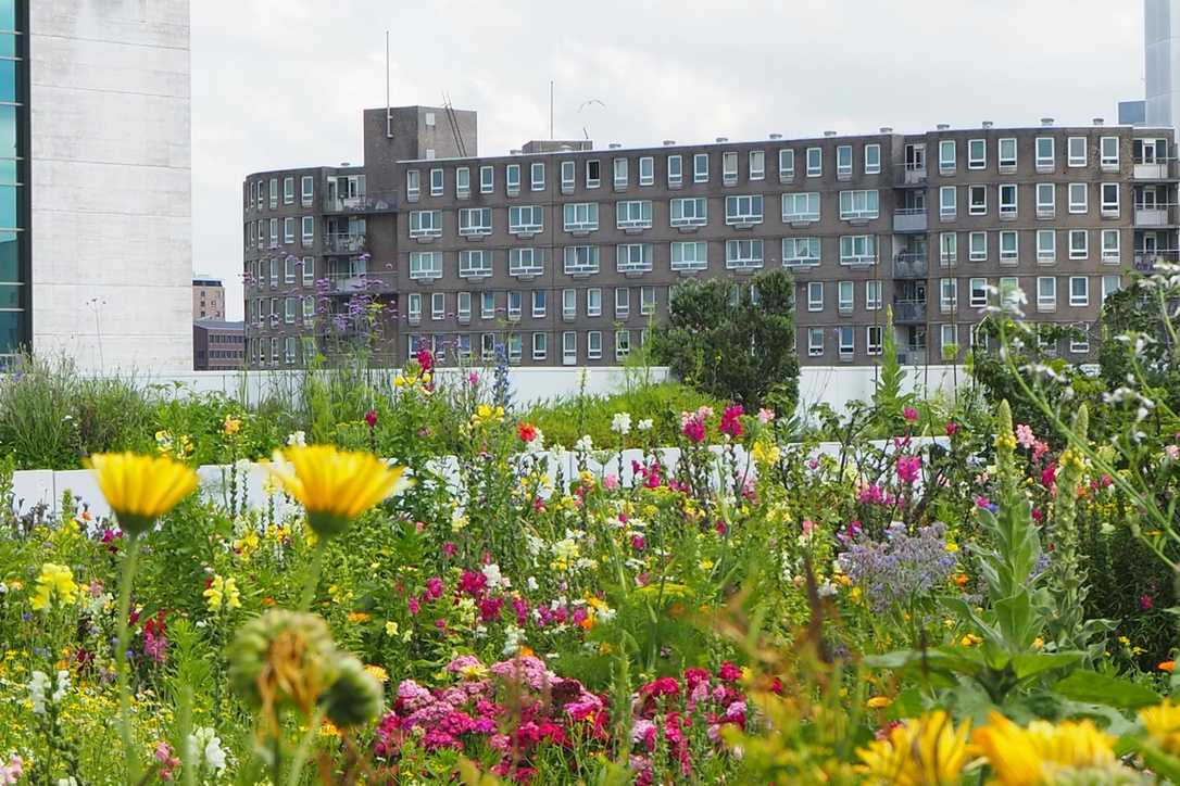 Stadtgrün und urbane Waldgärten als Themen Avela-Tagung