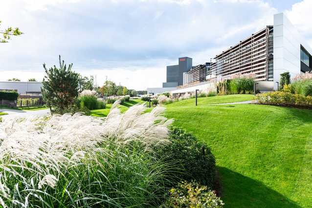 DCM legt Nachhaltigkeitsbericht vor