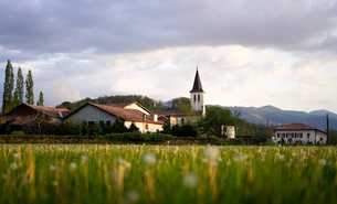 Deutscher Landkreistag: Appell an Kanzler