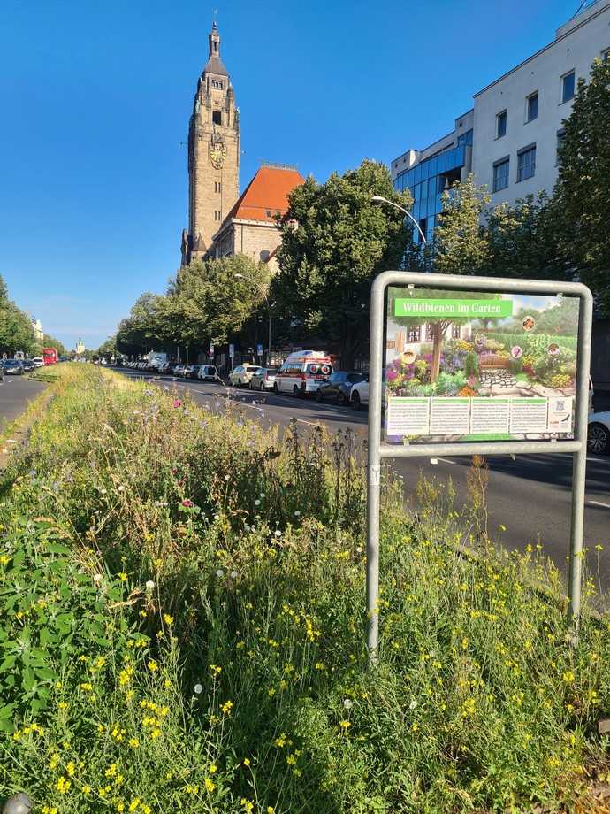 Bienenwiese an der Otto-Suhr-Allee vor dem Rathaus Charlottenburg | Foto: Bezirksamt Charlottenburg-Wilmersdorf