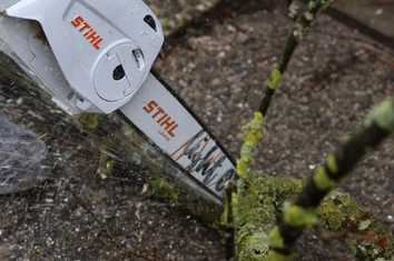 Für Profis und Heimwerker: Stihl MSA 80 im Test