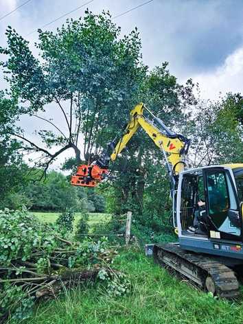 Beutlhauser baut Bagger auf Baumpflegebetrieb um