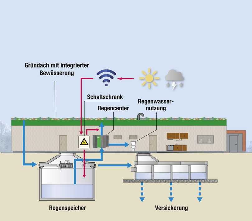 Schema der Regenwasserbewirtschaftung beim Neubau des SSC-Vereinsheims. Mit Fertigstellung im November 2023 werden 100 Prozent des Regenwassers auf dem Gelände bewirtschaftet. Ein Kanalanschluss für Regenwasser existiert nicht. | Foto: Mall