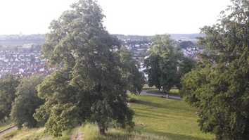 Baumpflegetagung im Kongress am Park Augsburg