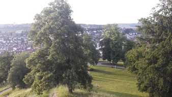 Baumpflegetagung im Kongress am Park Augsburg