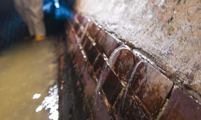 Zum Teil tritt das Wasser hier fingerdick aus der Wand. | Foto: Andreas Mauritz, Jockgrim