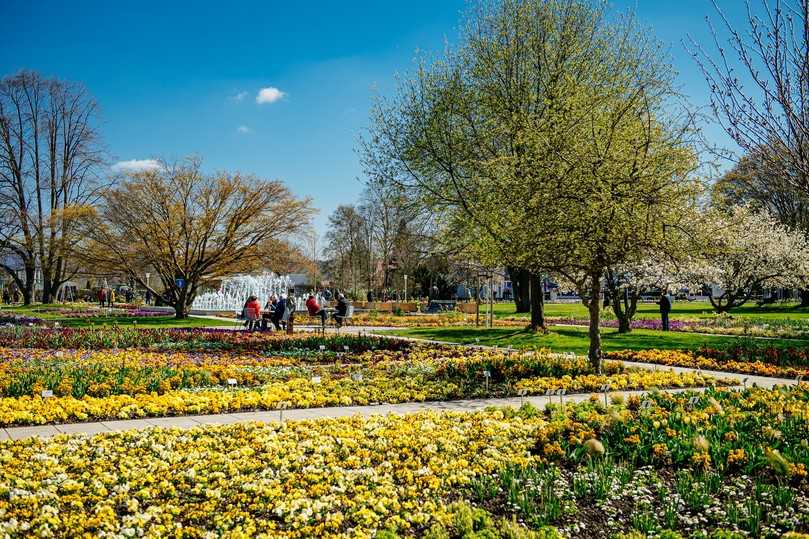 Es grünt und blüht auf der Bundesgartenschau. | Foto: bs