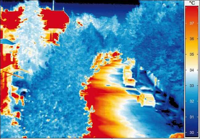 Abb 2. Die Oberflächentemperatur auf den sonnenexponierten Asphaltflächen ist bis zu 15 Grad Celsius höher als unter den Baumkronen. | Thermofotos: Sten Gillner