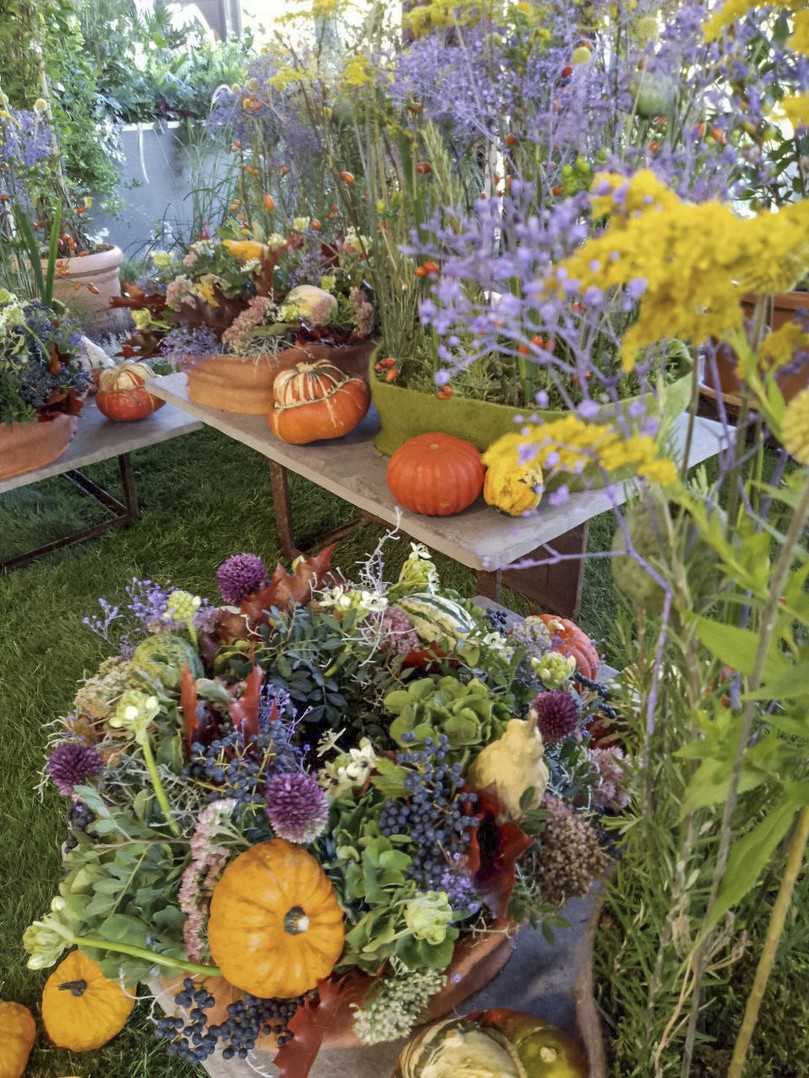 Bunter Herbstzauber auf der Landesgartenschau in Bad Dürrenberg. | Foto: Colette Dörrwand 