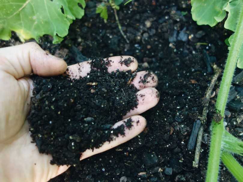 Die torffreie Palaterra Hochbeeterde eignet sich für die Komplettbefüllung von Hochbeeten und größeren Planzgefäßen im Außenbereich. Sie enthält mikrobiologisch aktivierte Pflanzenkohle. | Foto: klimafarmer GmbH