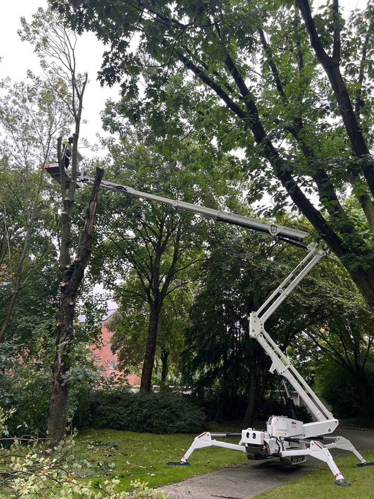 Da sich das Einsatzgebiet im Ruhrgebiet meist in Gärten hinter den Häusern befindet, mit schlechten Parkmöglichkeiten und engen Straßen, ist die Baumpflegefirma von Dominik Hoff entsprechend aufgestellt. | Foto: Hoff