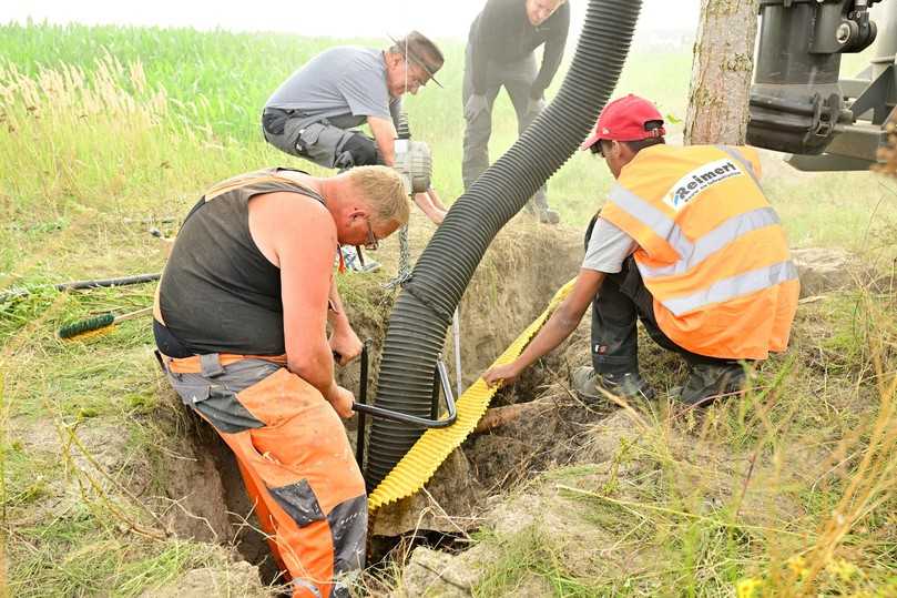 Mit archäologischer Sorgfalt: Wurzelausgrabung im IKT-Versuchsstand in Almere/Niederlande | Foto: IKT