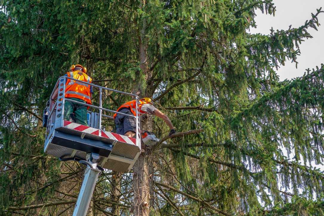 Unfall mit Arbeitsbühne im GaLaBau: So lässt sich das vermeiden