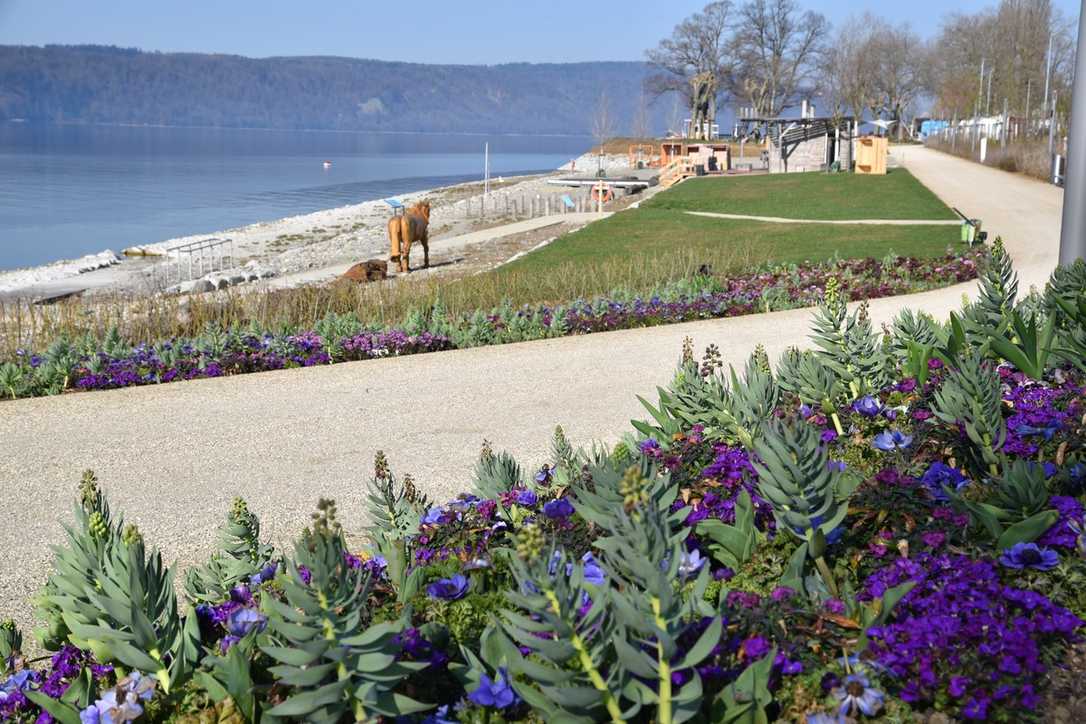 Neues Infektionsschutzgesetz macht's möglich: Landesgartenschau Überlingen eröffnet Ende April