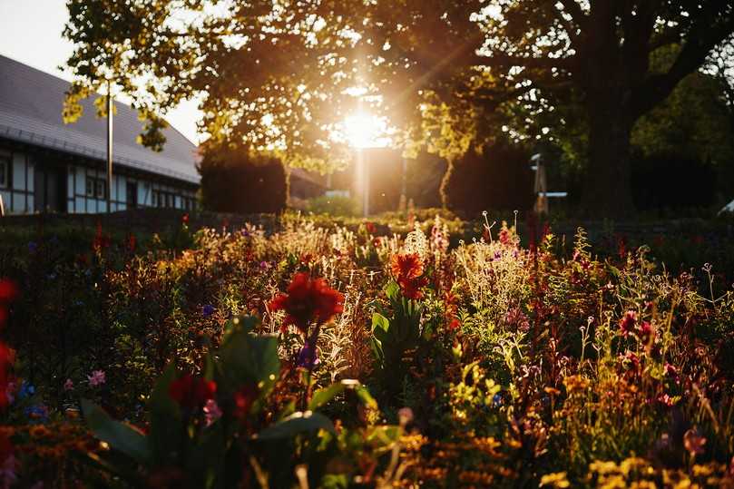 Eine laue Sommernacht mit Führungen, Musik und Showeinlagen ist auf der Landesgartenschau in Bad Dürrenberg angesagt. | Foto: Jimi Gramming