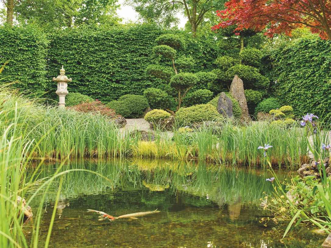 Alles für den Gartenteich von der Oase-Gruppe