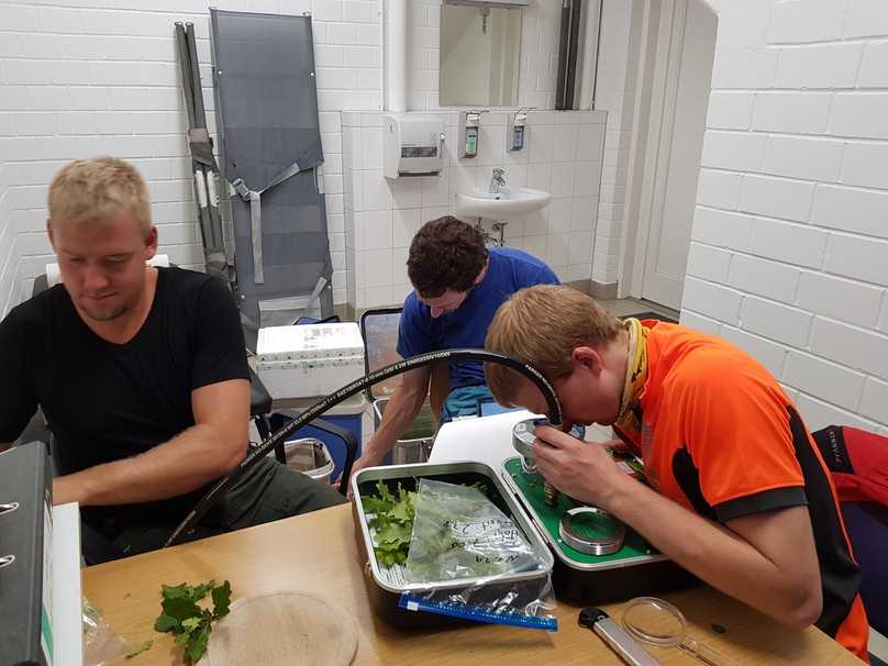 Geförderte Abschlussarbeit: (v.l.n.r.) Mats Hagemann, Fabian Gäckle und Felix Funke bei der Messung von Wasserdämmpotenzial. | Foto: Norbert Müller