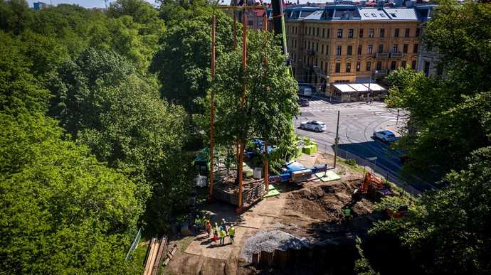 Verpflanzung eines Größtbaums. | Foto: Opitz