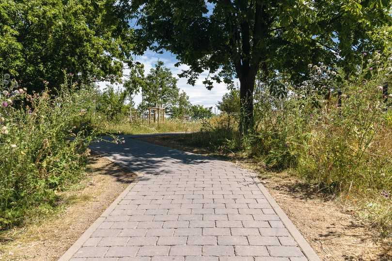 Üppige Vegetationsflächen und das versickerungsfreudige Pflaster bilden ein Reservoir für die Aufnahme und Speicherung von Niederschlagswasser | Foto: Guido Wollenberg / Jasto Baustoffwerke